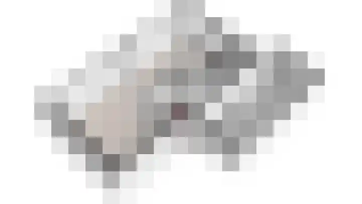 Nuienplein 22 Hunsel thumbnail 33