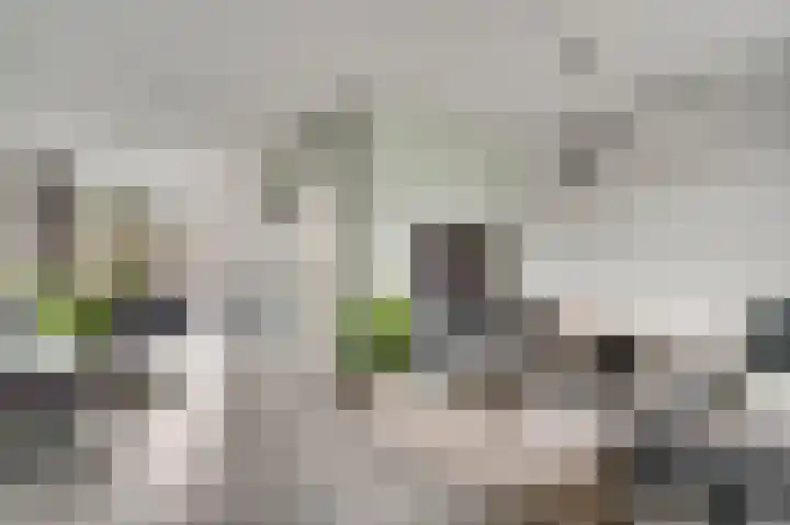 Nuienplein 22 Hunsel thumbnail 4