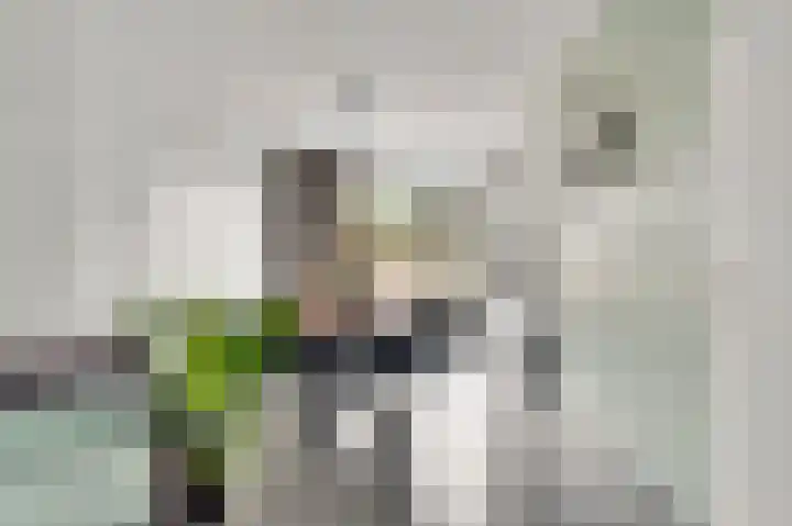 Nuienplein 22 Hunsel thumbnail 7