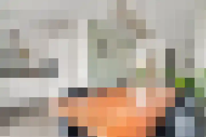 Nuienplein 22 Hunsel thumbnail 8