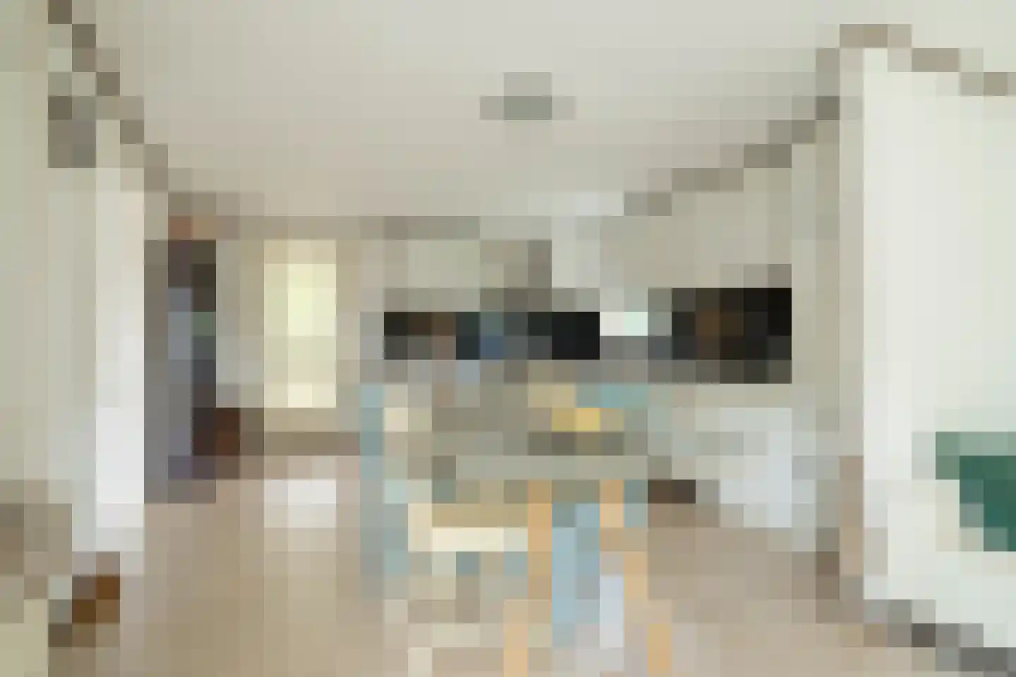 Nuijeneind 24 T227 Bakel thumbnail 10