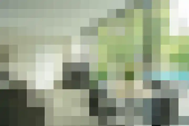Nuijeneind 24 T40 Bakel thumbnail 14