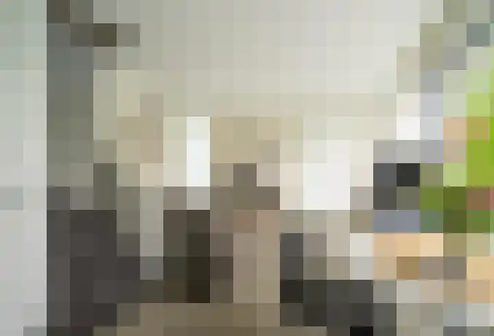 Nuijeneind 24 T40 Bakel thumbnail 16