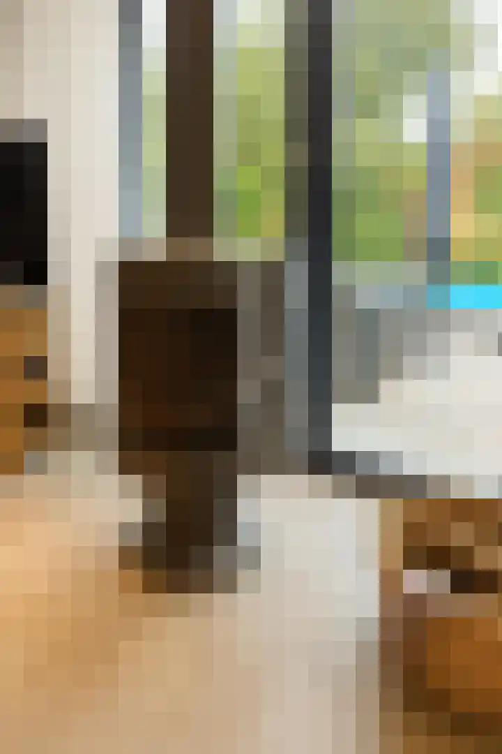 Nuijeneind 24 T40 Bakel thumbnail 17