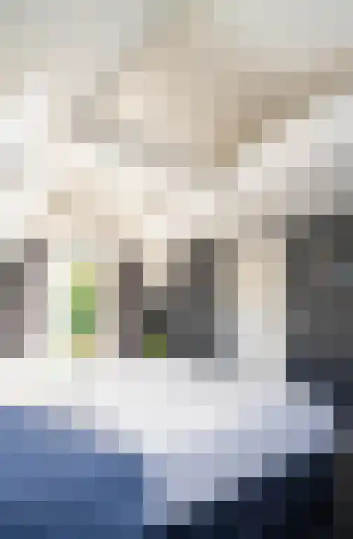 Nuijeneind 24 T40 Bakel thumbnail 25