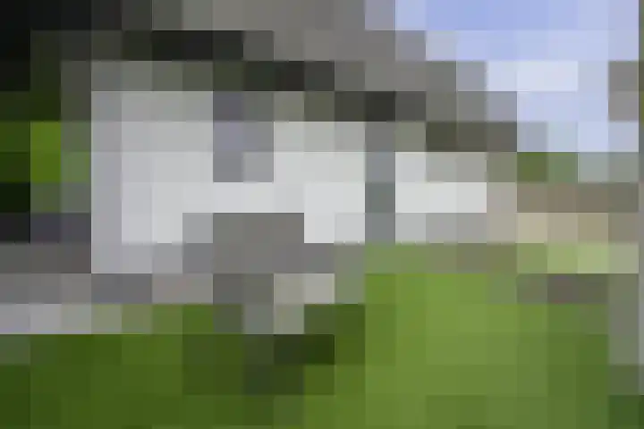 Nuijeneind 24 T40 Bakel foto 3
