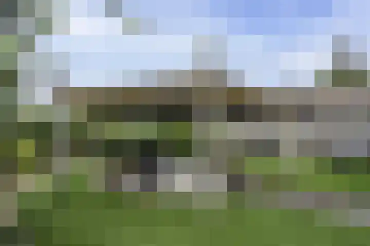 Nuijeneind 24 T40 Bakel thumbnail 41