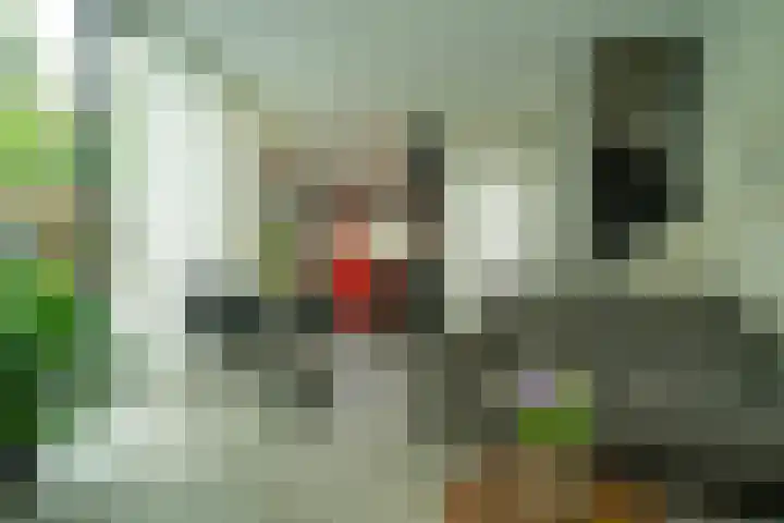 Nuijeneind 24 T40 Bakel thumbnail 8