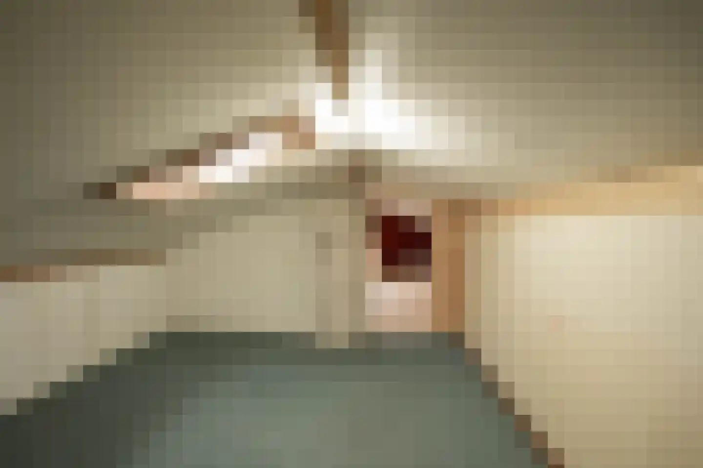 Nuijeneind 24 T59 Bakel thumbnail 27
