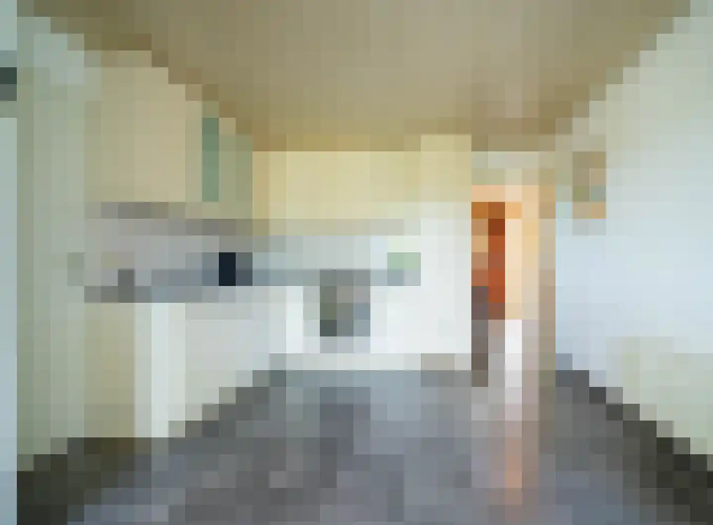 Nuijeneind 24 T59 Bakel thumbnail 6