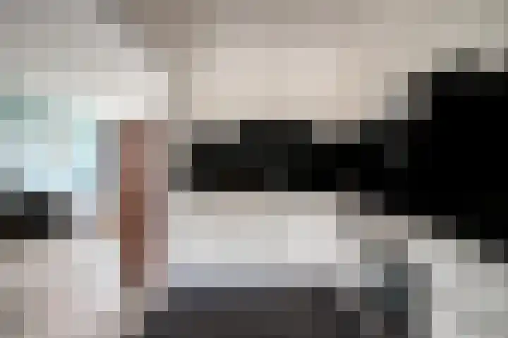 Nuijenslaan 22 Eindhoven thumbnail 12