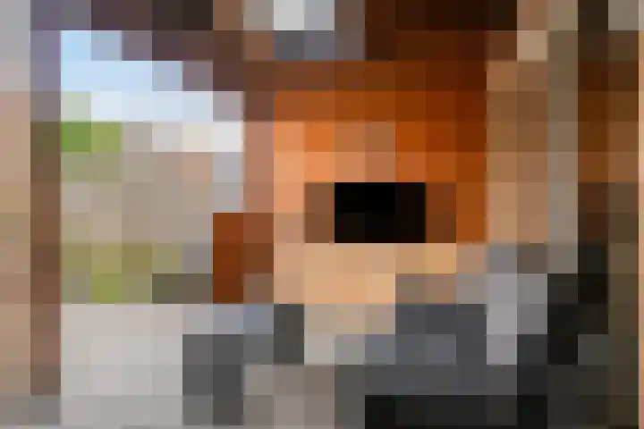Nuijenslaan 22 Eindhoven thumbnail 21