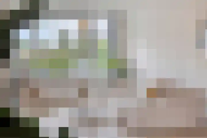 Nuijenslaan 8 Eindhoven thumbnail 11