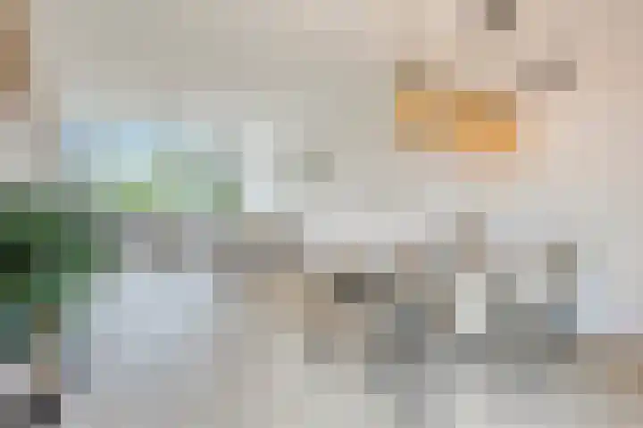 Nuijenslaan 8 Eindhoven thumbnail 14