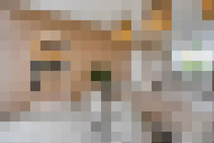 Nuijenslaan 8 Eindhoven thumbnail 16