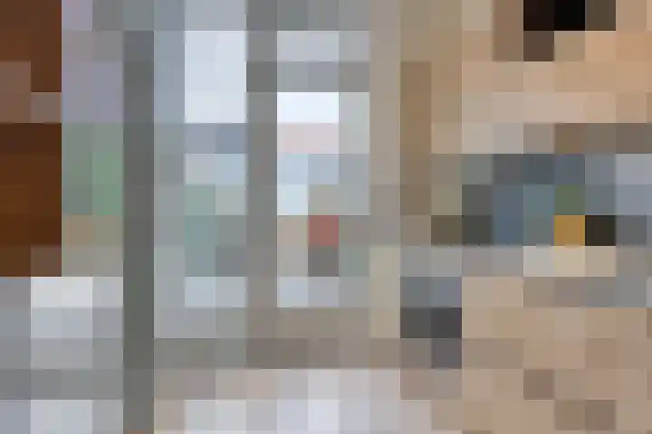 Nuijenslaan 8 Eindhoven thumbnail 17