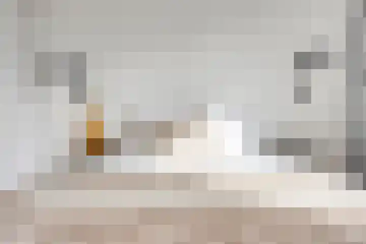 Nuijenslaan 8 Eindhoven thumbnail 26