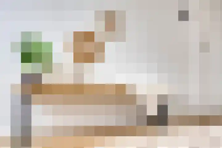 Nuijenslaan 8 Eindhoven thumbnail 28