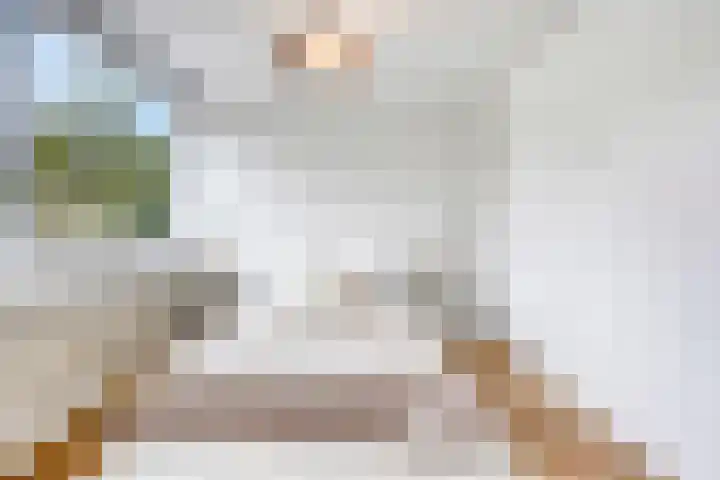 Nuijenslaan 8 Eindhoven thumbnail 30