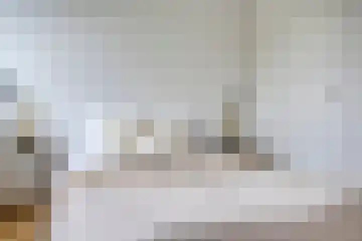 Nuijenslaan 8 Eindhoven thumbnail 31