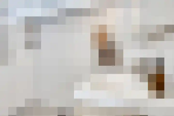 Nuijenslaan 8 Eindhoven thumbnail 33