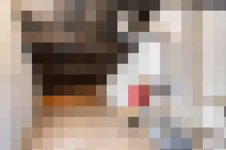 Nuijenslaan 8 Eindhoven thumbnail 35