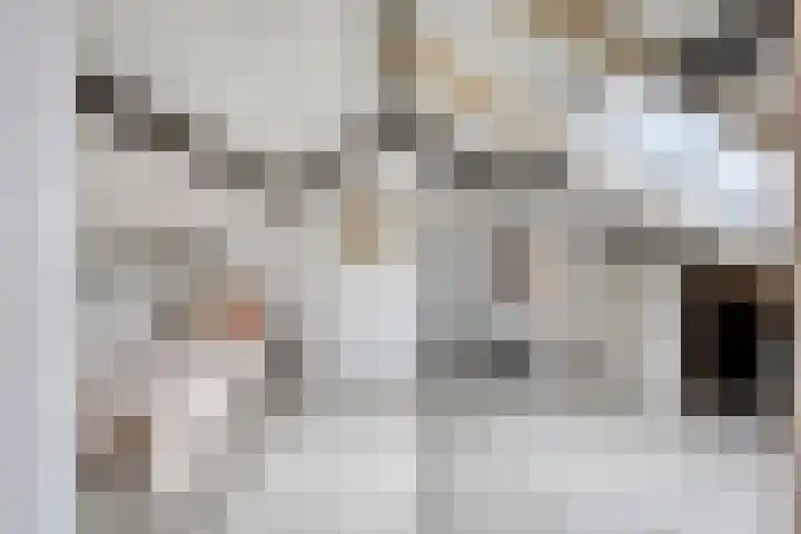 Nuijenslaan 8 Eindhoven thumbnail 36
