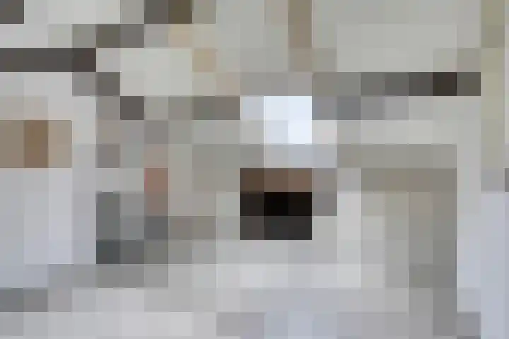 Nuijenslaan 8 Eindhoven thumbnail 38