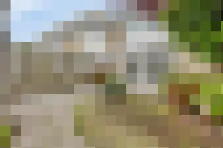 Nuijenslaan 8 Eindhoven thumbnail 40