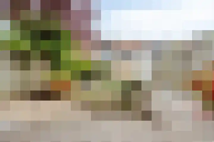 Nuijenslaan 8 Eindhoven thumbnail 41