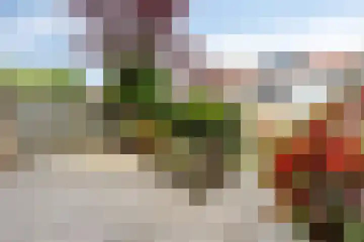 Nuijenslaan 8 Eindhoven thumbnail 42
