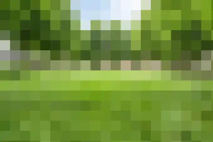 Nuijenslaan 8 Eindhoven thumbnail 43