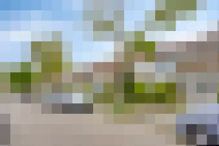 Nuijenslaan 8 Eindhoven thumbnail 5