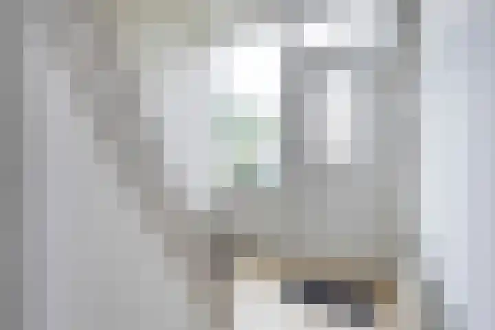 Nuijenslaan 8 Eindhoven thumbnail 6