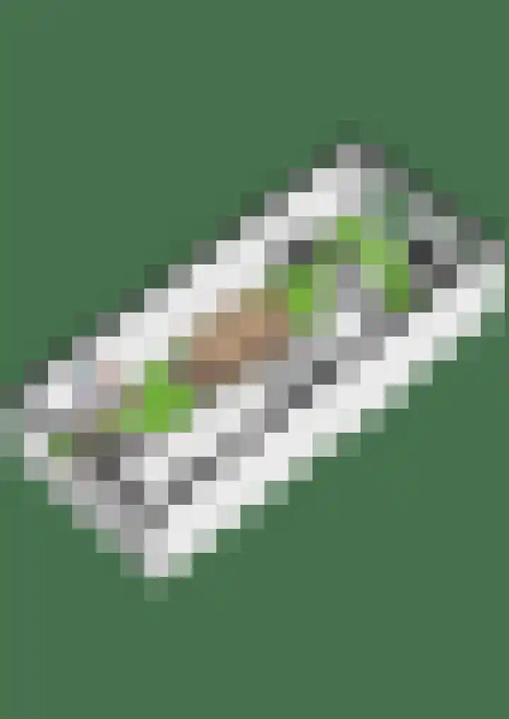 Nuijtsstraat 13 Breda thumbnail 30