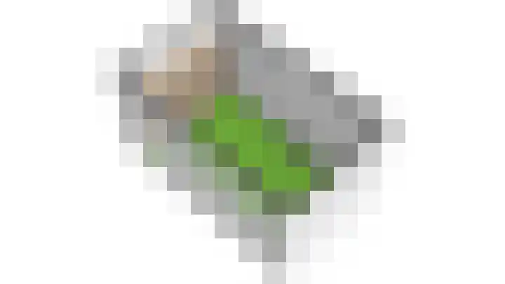 Nuijtsstraat 13 Breda thumbnail 32