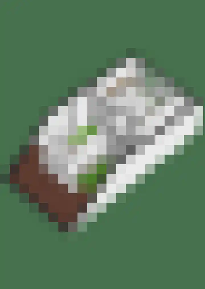 Nuijtsstraat 13 Breda thumbnail 34