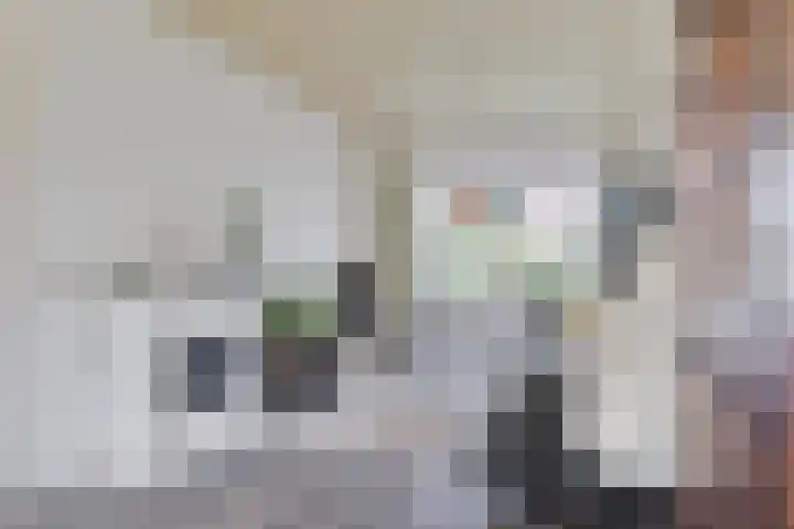 Nuijtsstraat 35 Breda thumbnail 10