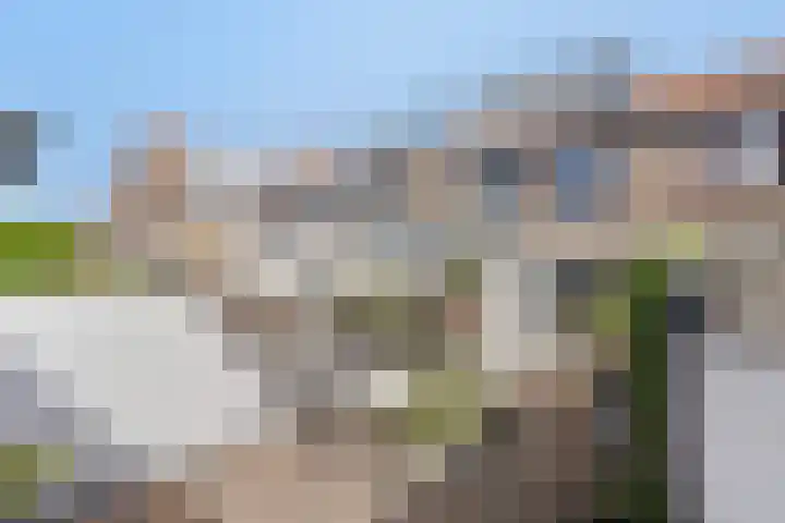 Nuijtsstraat 35 Breda thumbnail 31