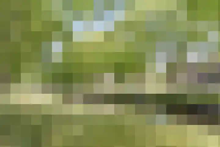 Nuijtsstraat 35 Breda thumbnail 36