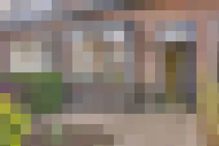 Nuijtsstraat 35 Breda thumbnail 5