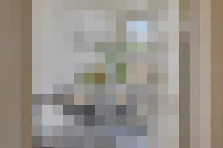 Nuijtsstraat 35 Breda thumbnail 8