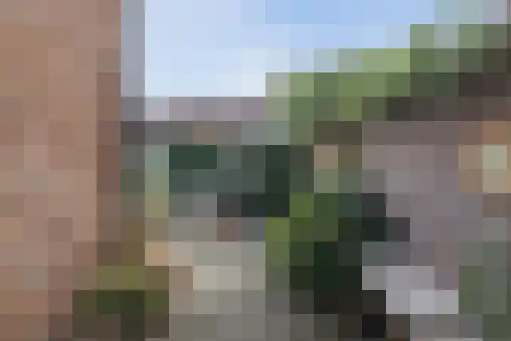 Nuijtsstraat 37 Breda thumbnail 22