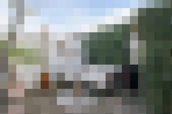 Nuijtsstraat 37 Breda thumbnail 26
