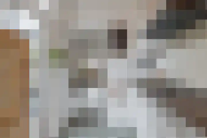 Nuijtsstraat 37 Breda thumbnail 5