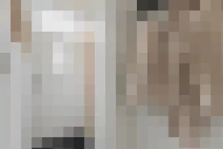 Nuijtsstraat 37 Breda thumbnail 6