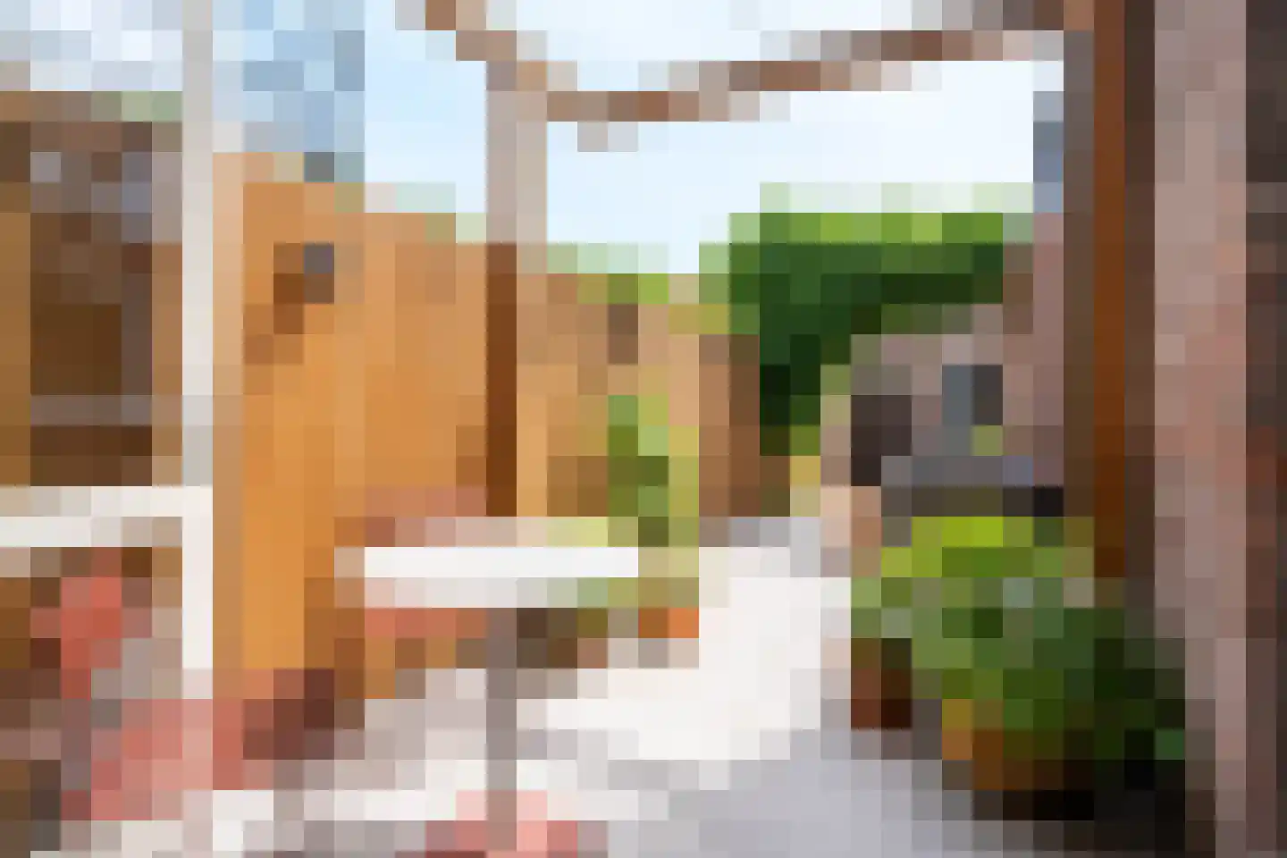 Nuijtsstraat 39 Breda thumbnail 19