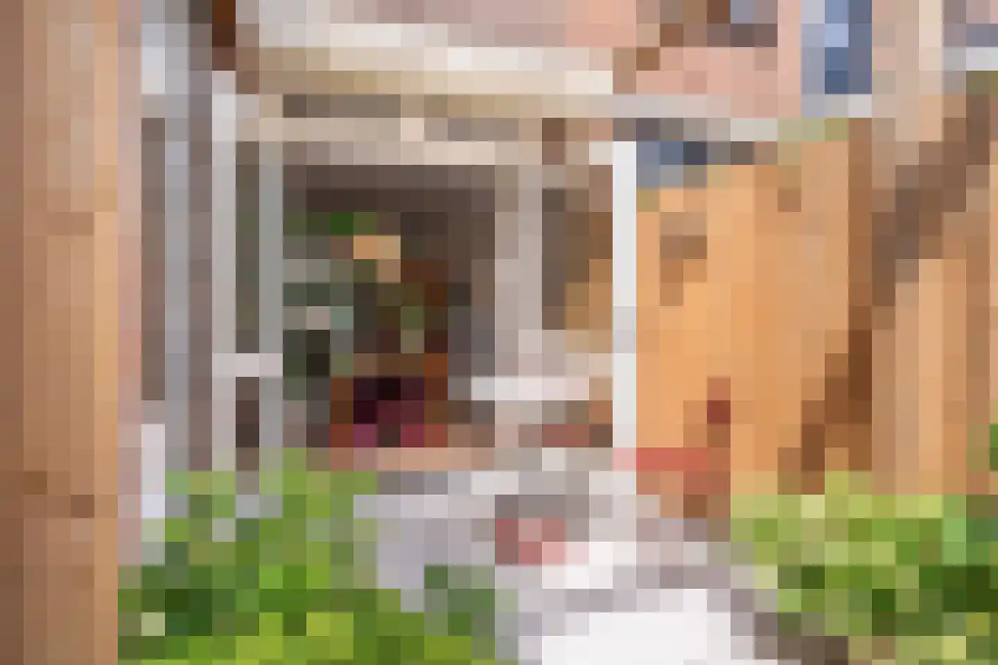 Nuijtsstraat 39 Breda thumbnail 24