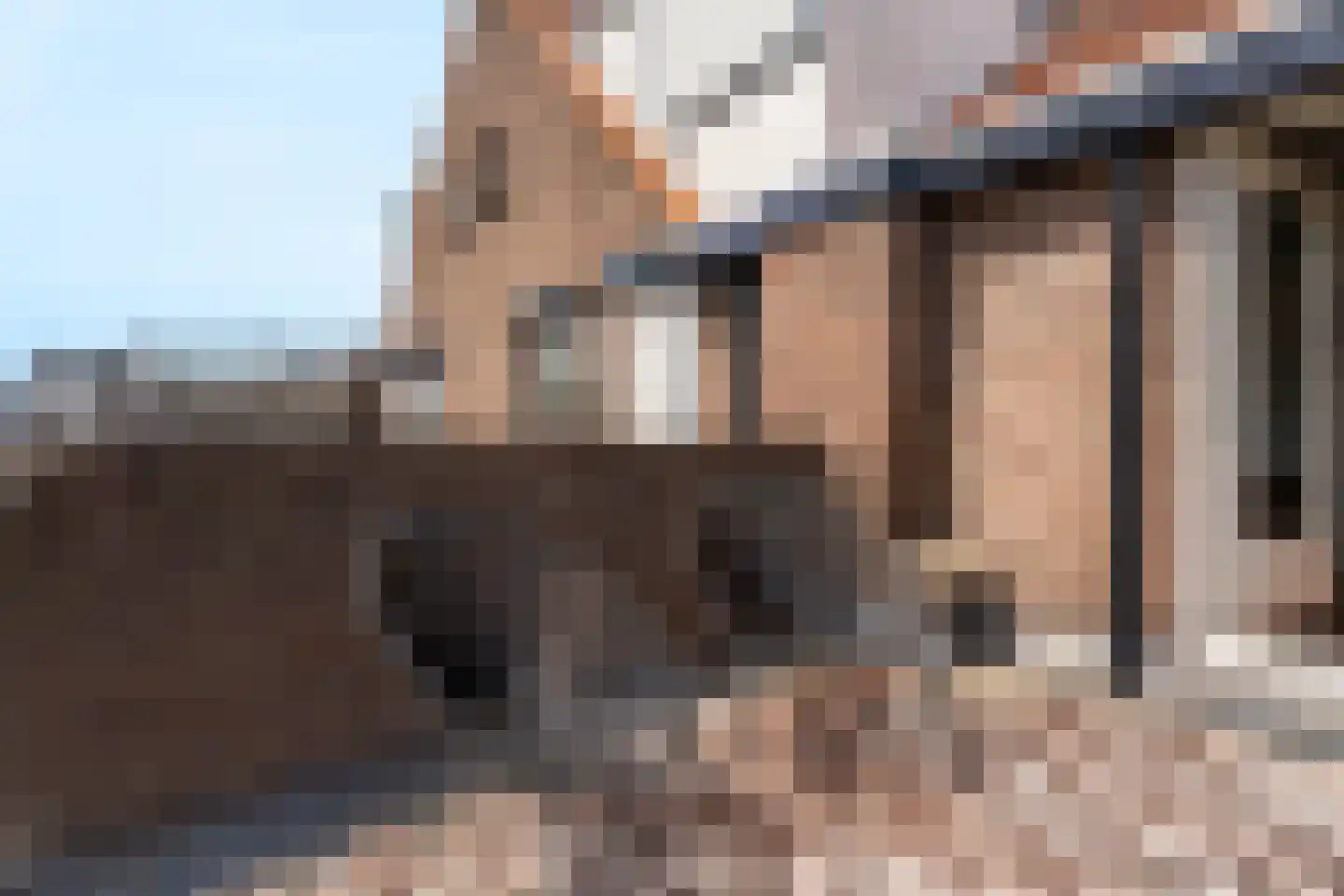 Nuijtsstraat 39 Breda thumbnail 30
