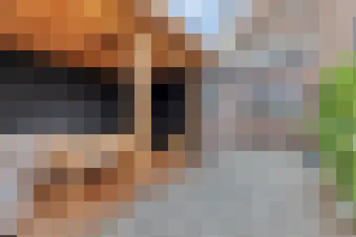 Nuijtsstraat 43 Breda thumbnail 4